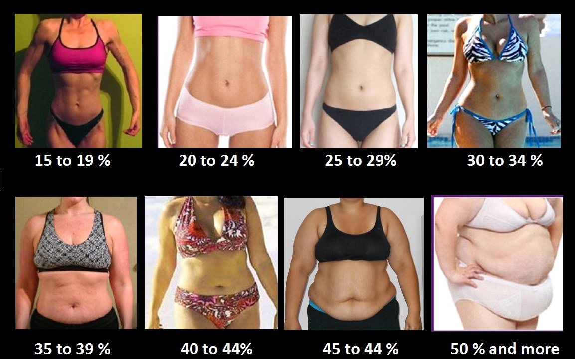 Body Fat Percentage Calculator: Estimate Your BF%